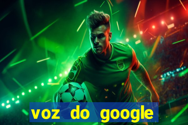 voz do google tradutor homem